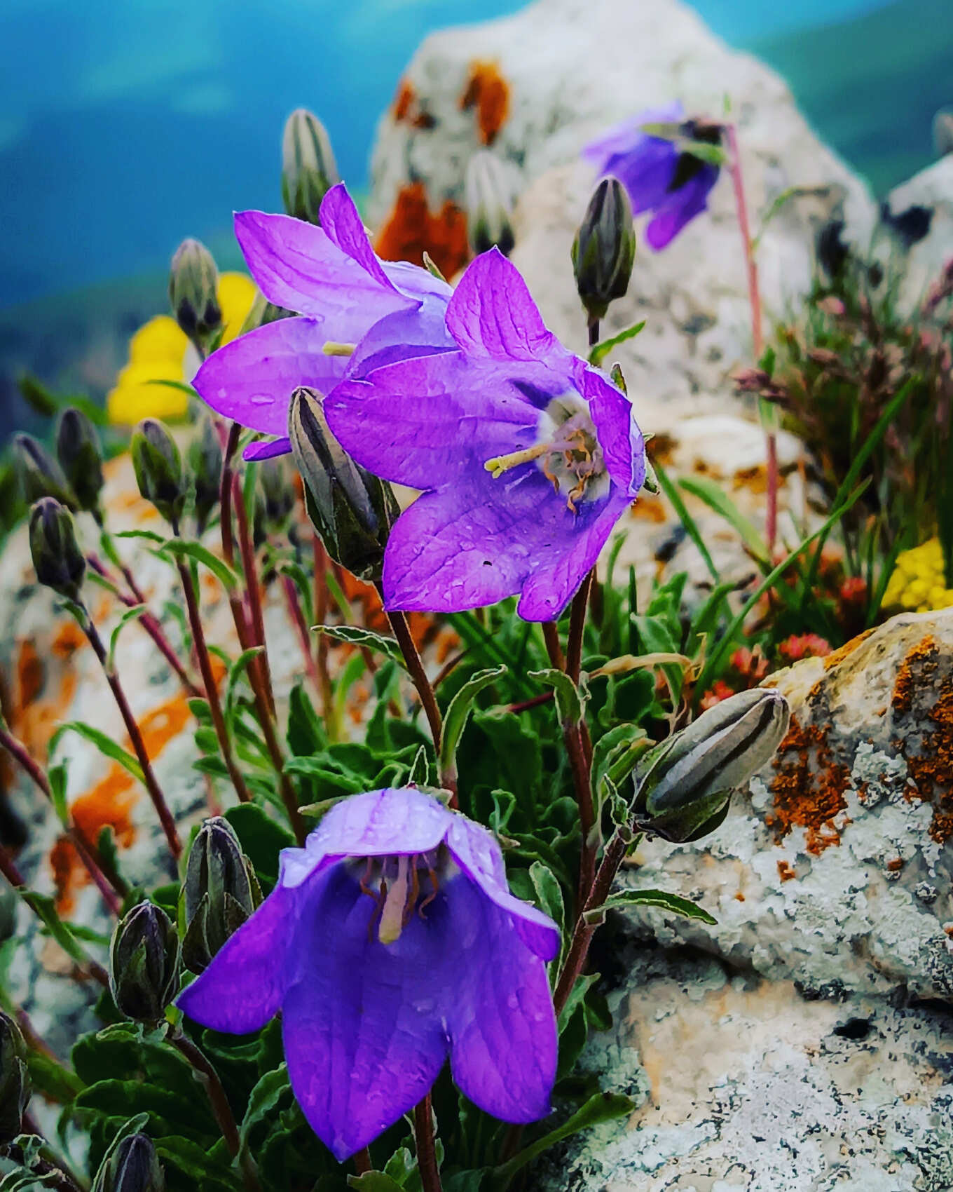 Джип Тур - Скальные террасы Димац (5/16)