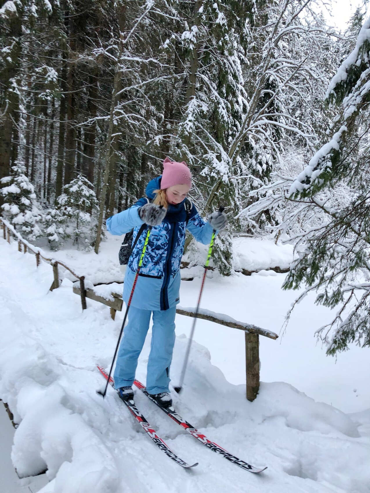 Лыжный день по сказочным местам. Однодневный выезд из Петербурга (16/17)