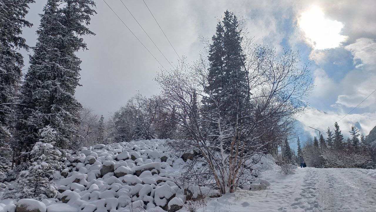 Национальный парк Ала-Арча и ночная жизнь Бишкека, как живет мегаполис!! (12/25)