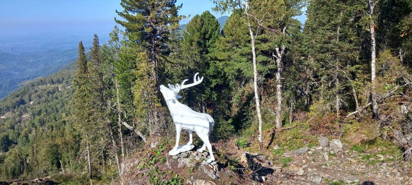 Экспресс-тур на Алтай (5/19)