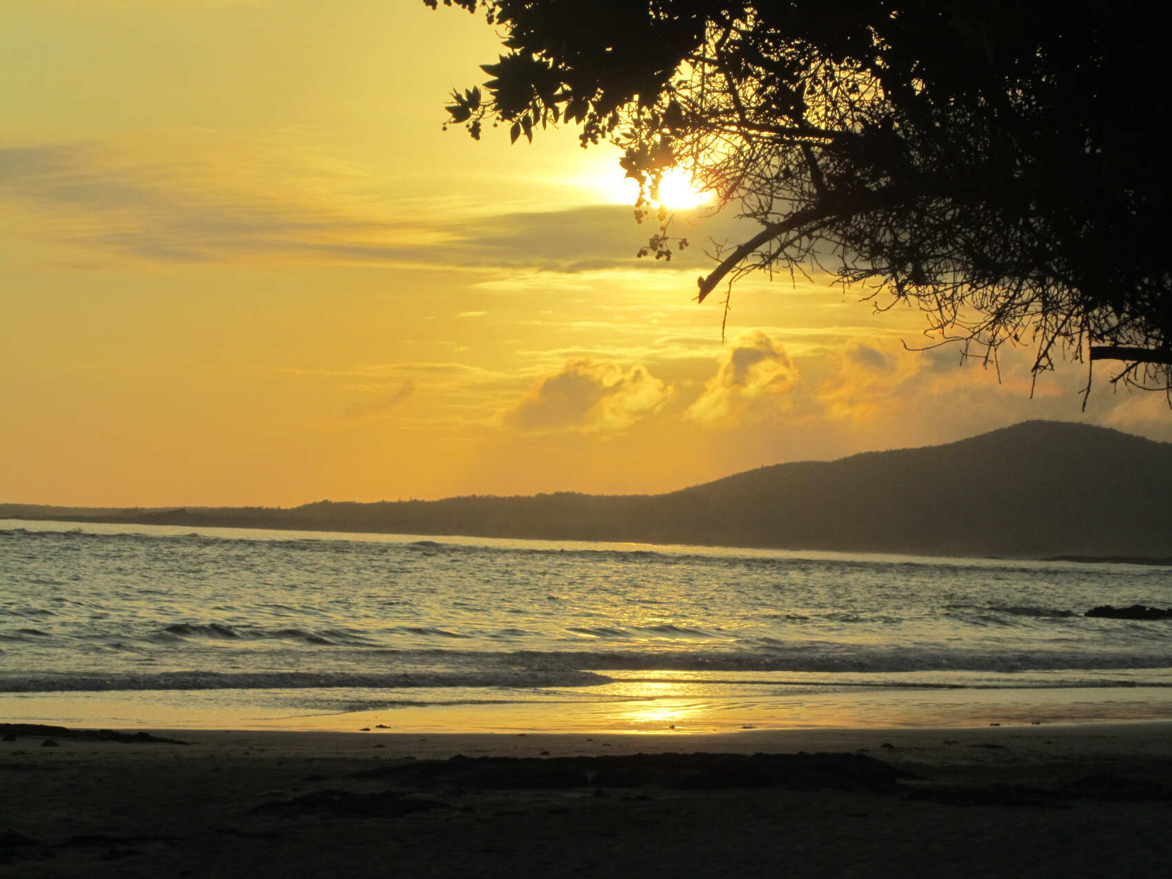 10 дней. Основные моменты Галапагосских островов: небольшая группа (4/18)