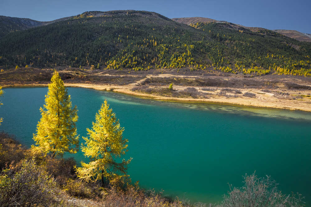 Фототур Золото Алтая (6/79)