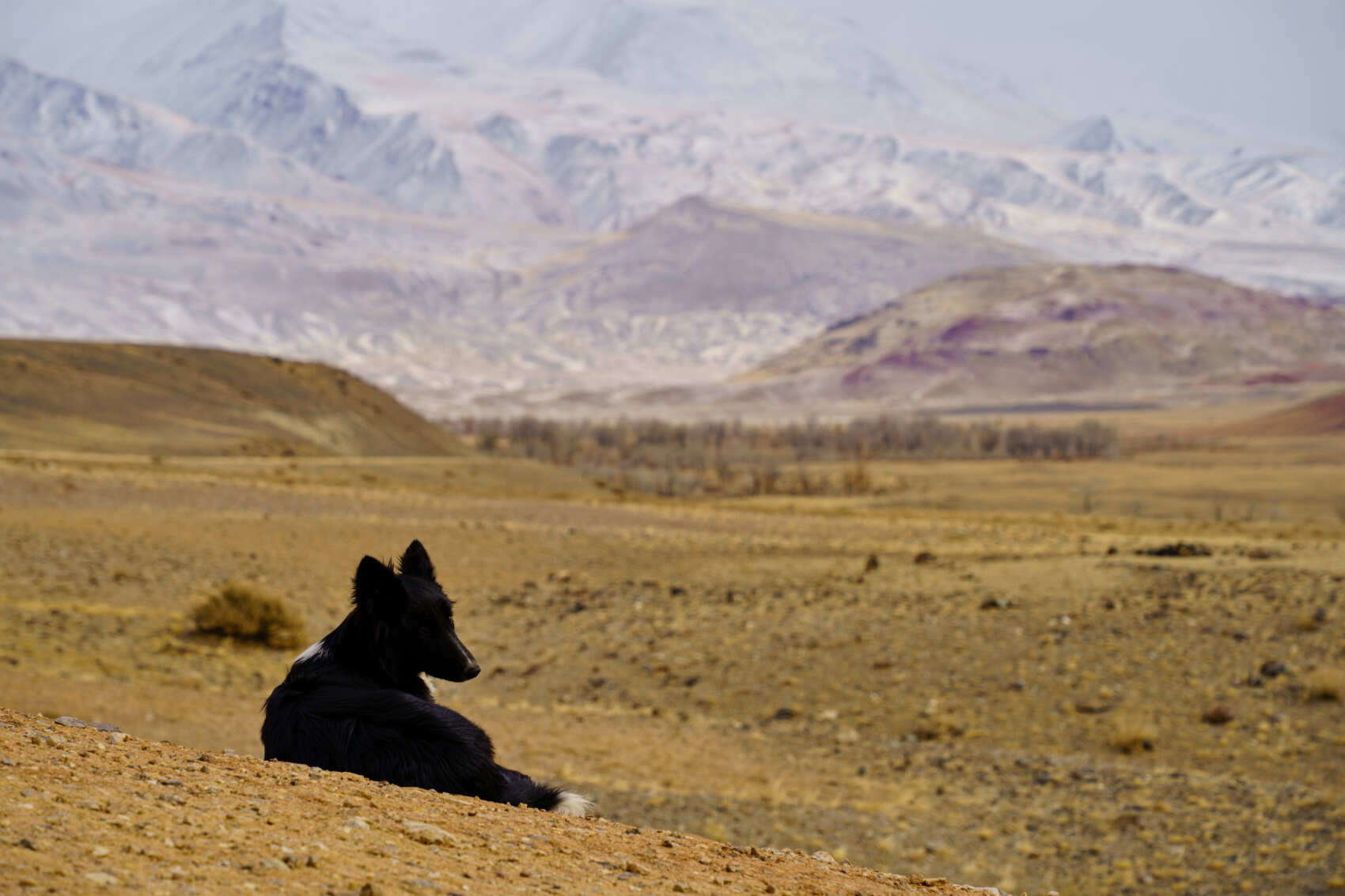 Осенний премиум-тур на Алтай: отели 4-5 + экскурсии по горному Алтаю (индивидуально) (15/36)