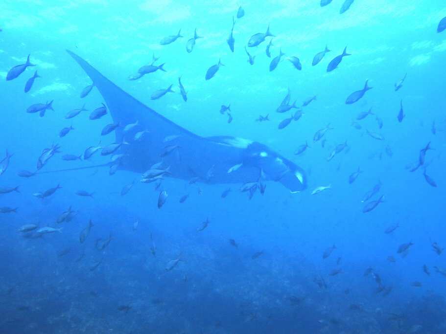 7-дневная экспедиция на Галапагосские острова: Сан-Кристобаль и остров Санта-Круз (3/8)