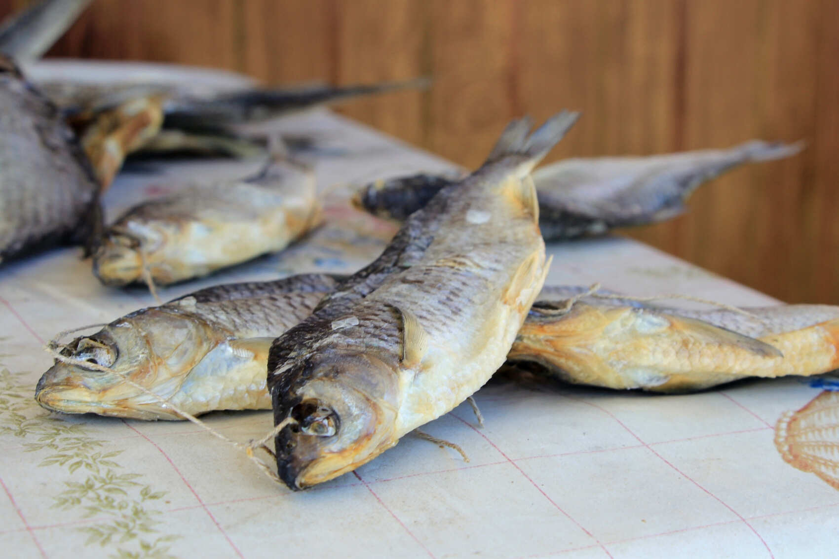 Талабские острова с ночевкой на острове и Чудское озеро Все Включено! (24/32)