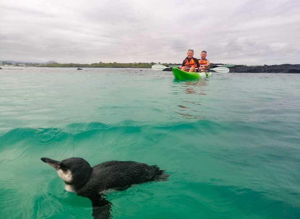 10-дневная прогулка по Галапагосским островам в Санта-Круз и Исабеле (8/9)