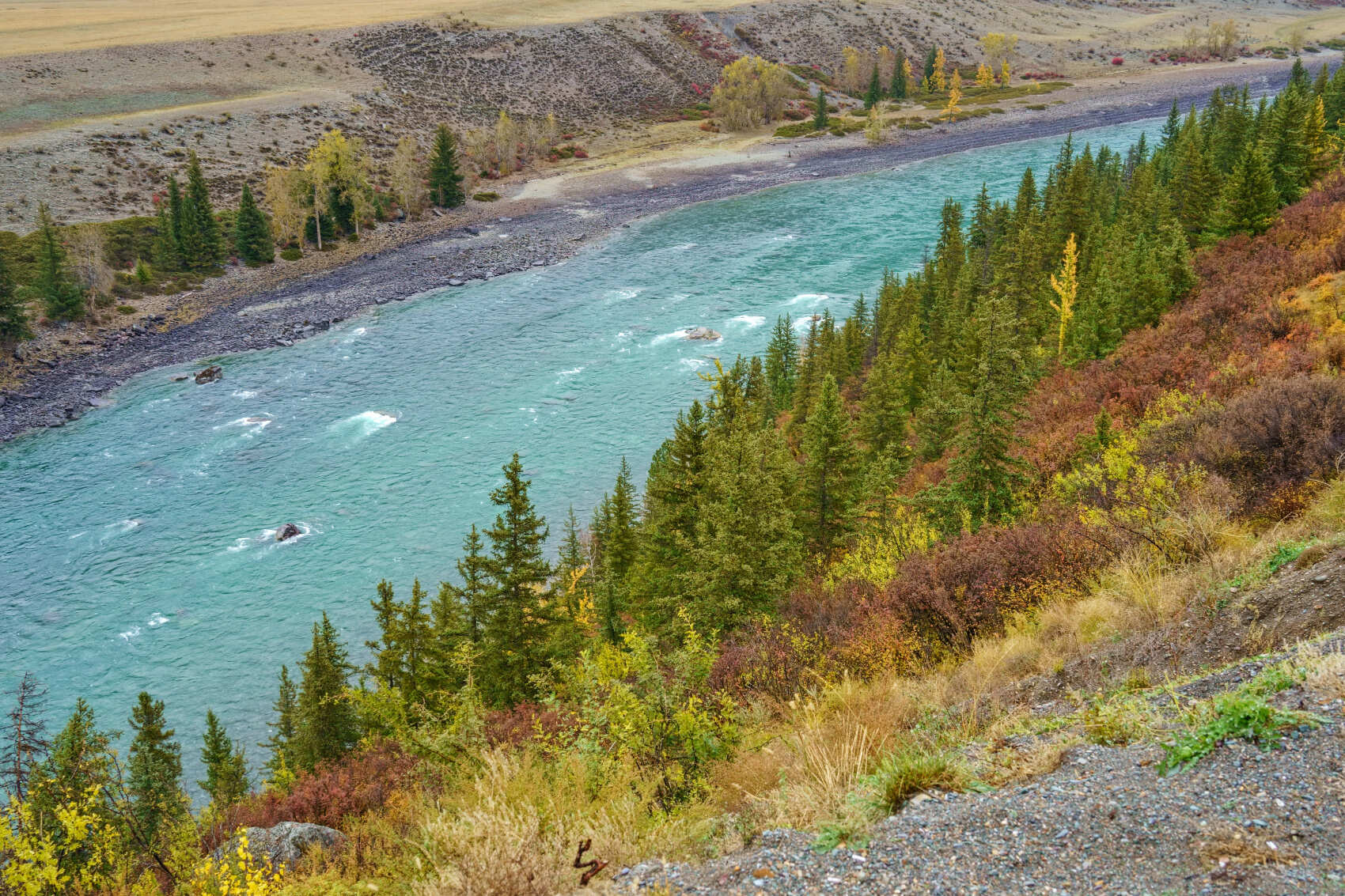 Осенний премиум-тур на Алтай: отели 4-5 + экскурсии по горному Алтаю (индивидуально) (17/36)