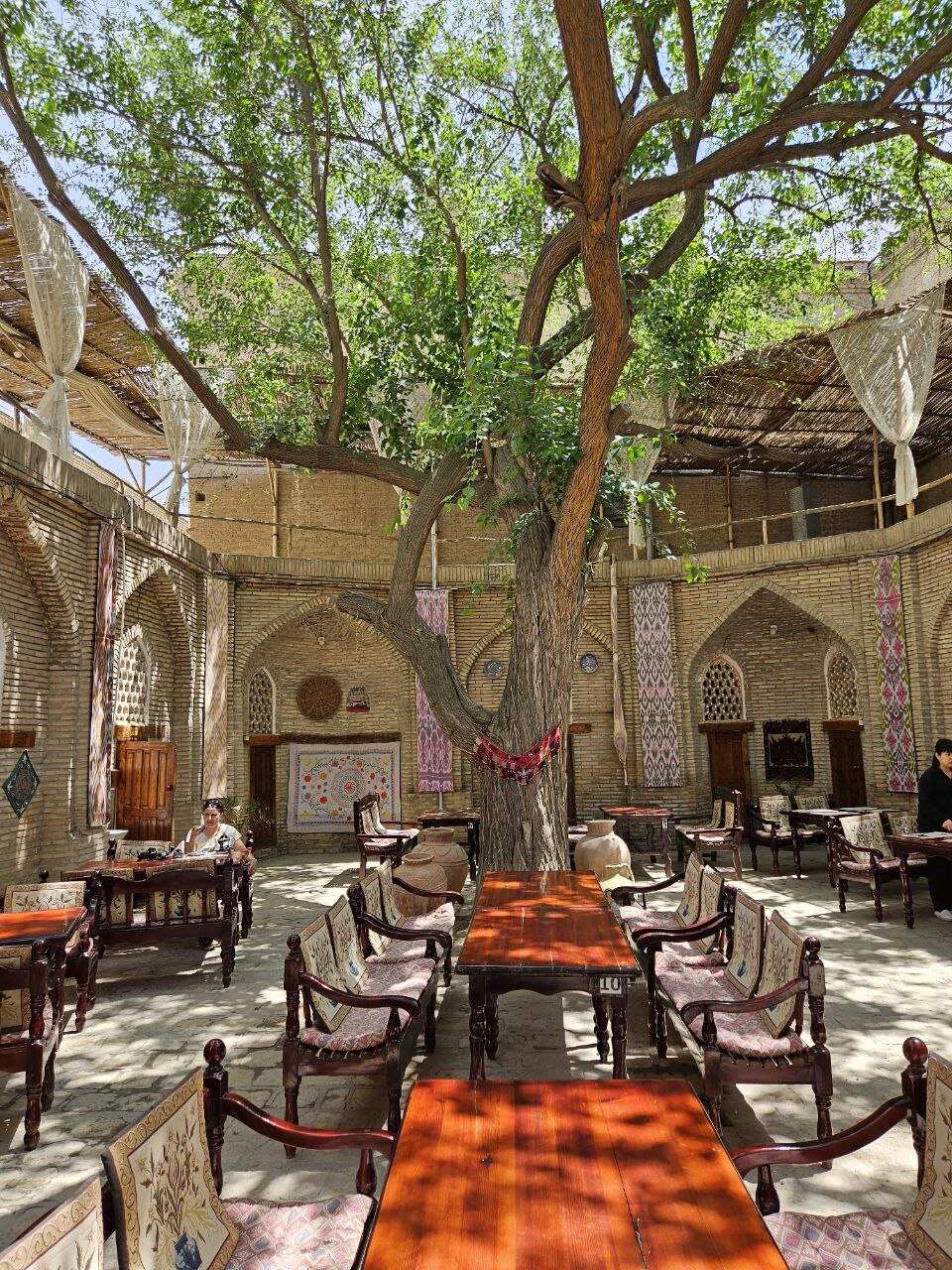 Узбекистан: встреча с восточным гостеприимством! (16/46)