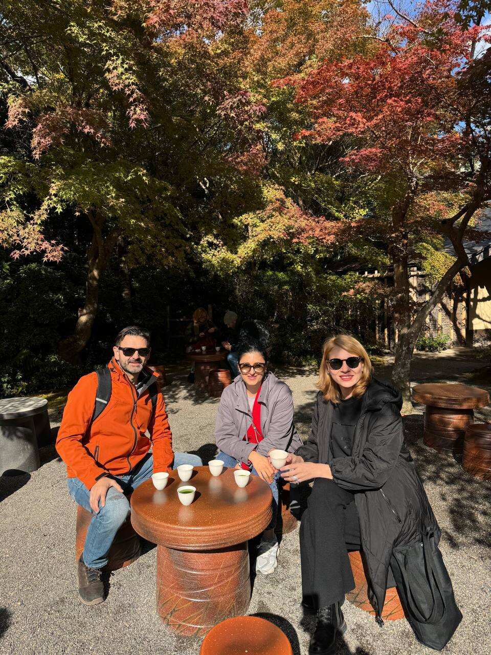 Цветение сакуры в Японии + оформление визы в подарок (5/37)