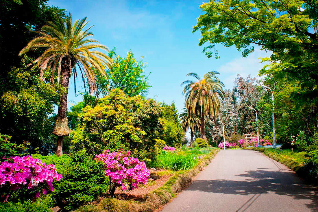 Insta-tour - ботанический рай и крепость Петра (3/8)