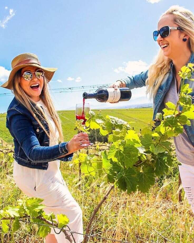 Кахетия на вкус: индивидуальное гастро-путешествие