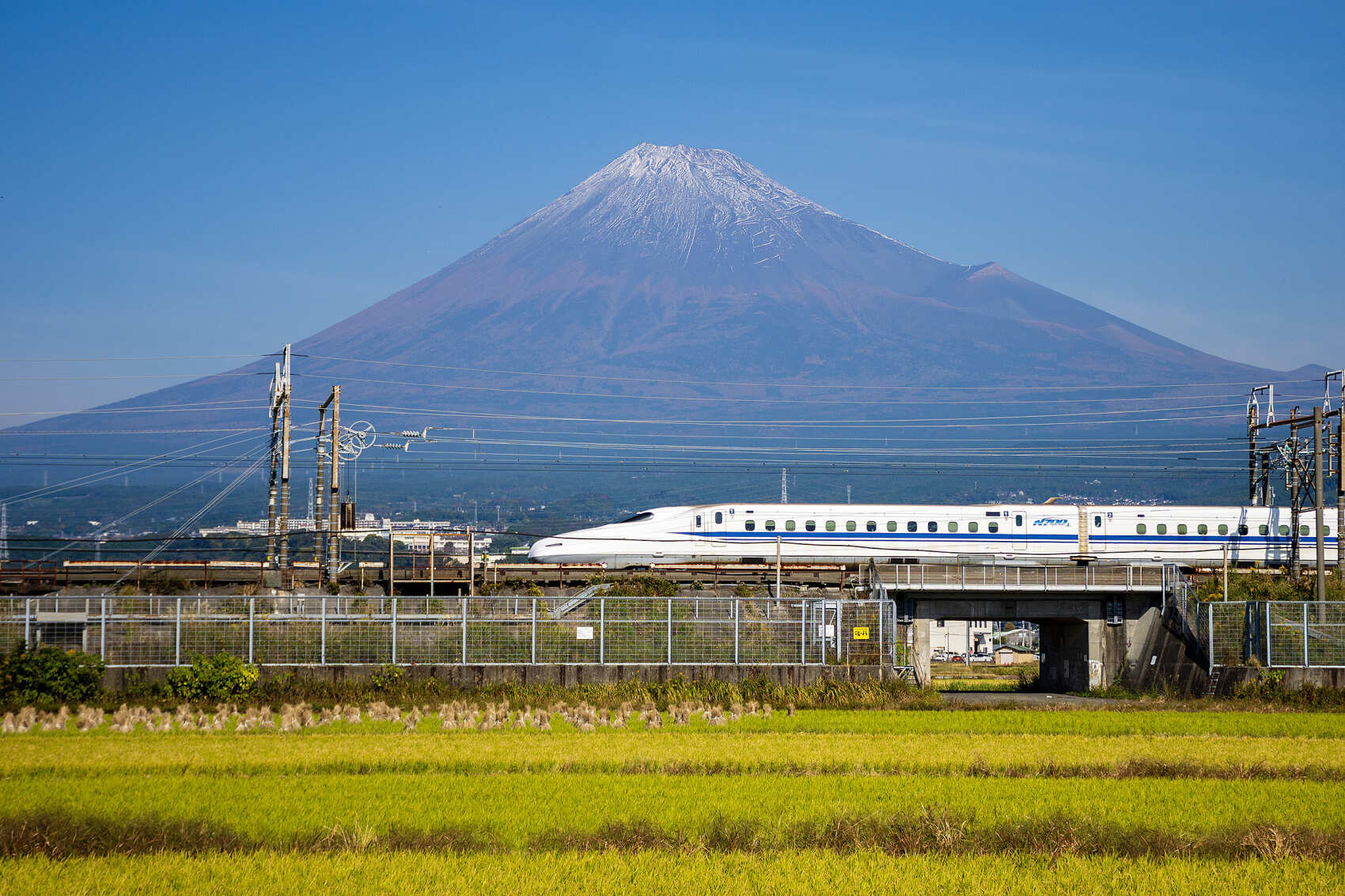 Там, где родилась Япония (4/54)