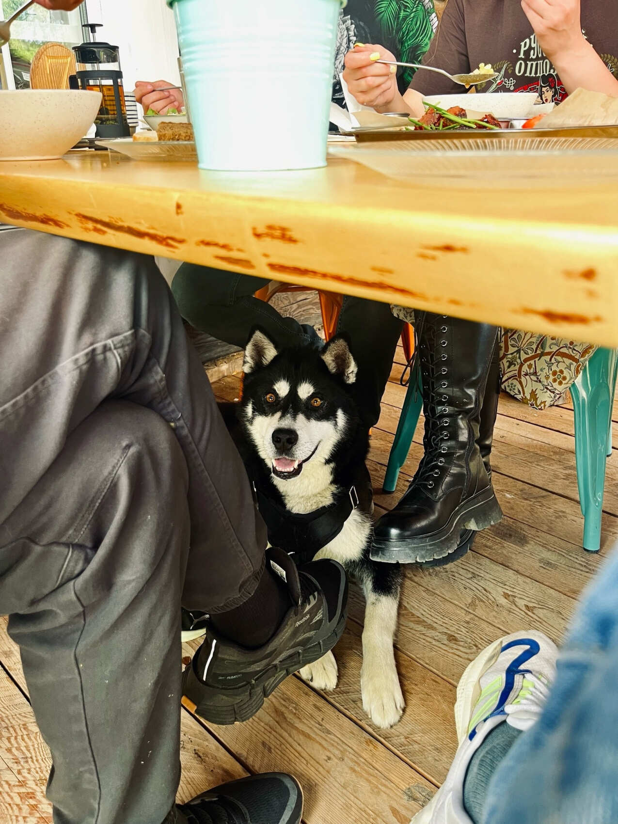 Мото тур по Алтаю на дорожных мотоциклах - Чопперах (13/28)