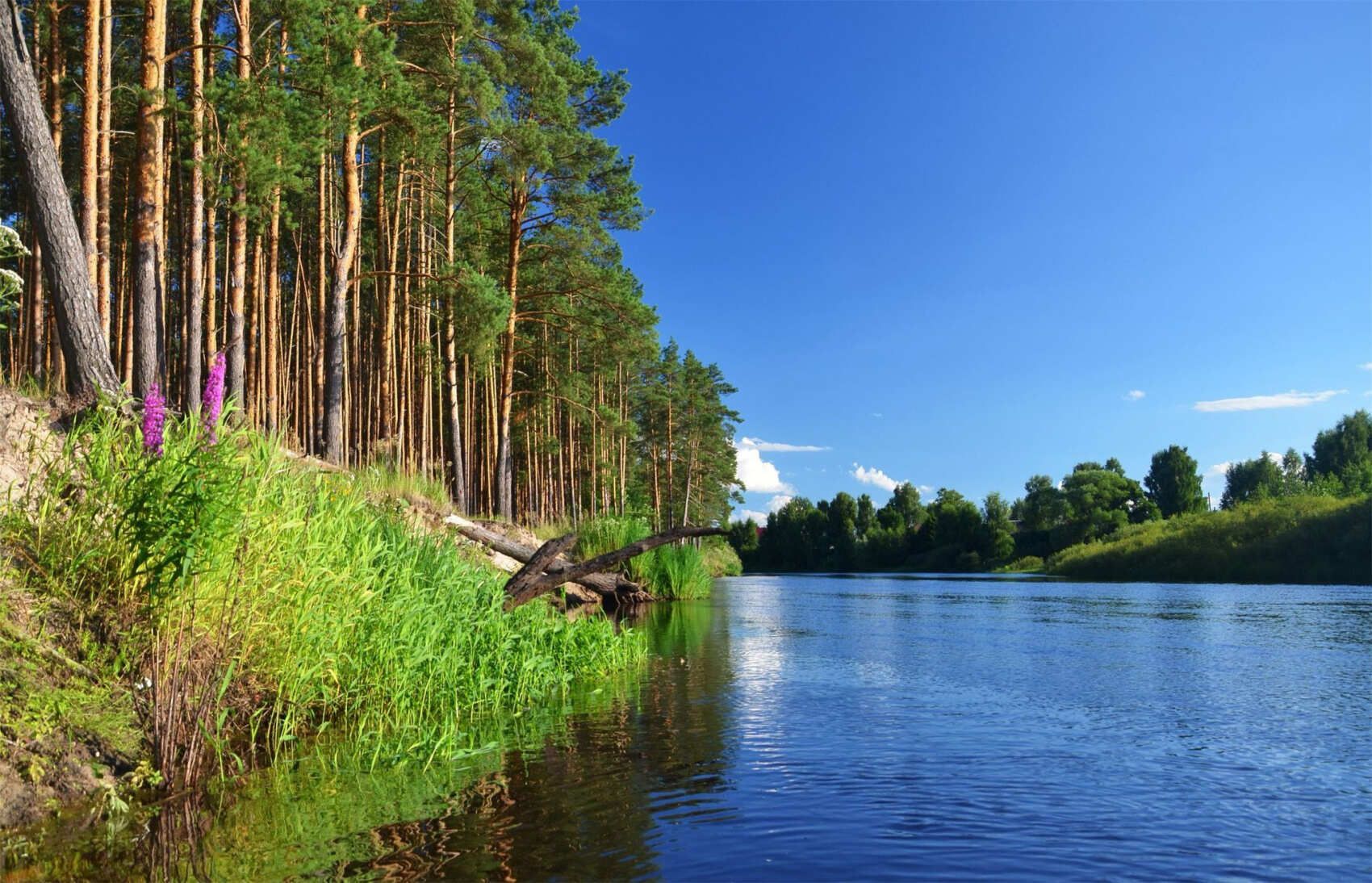 Сплав по реке Пра на байдарках (Рязанская область)