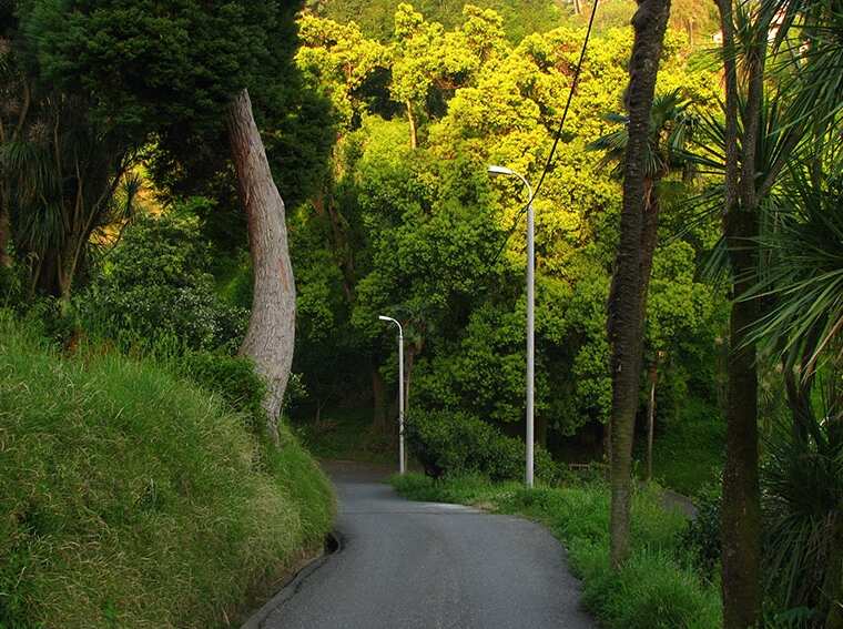 Велотур Красоты Аджарии (9/32)