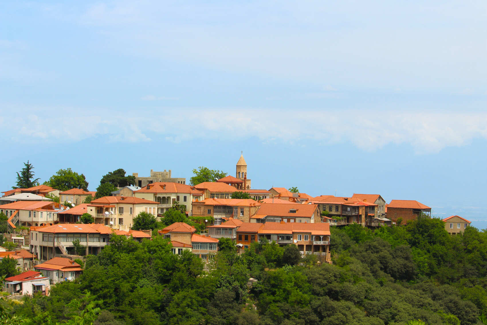 Горы, вино, великая история и люди! Яркая Грузия! (19/108)