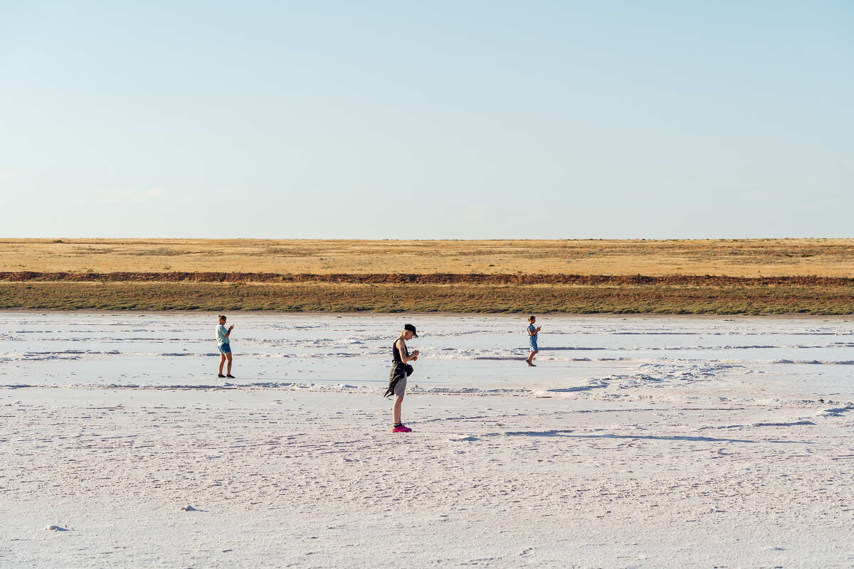 Цветение Лотосов В Дельте Волги (6/21)