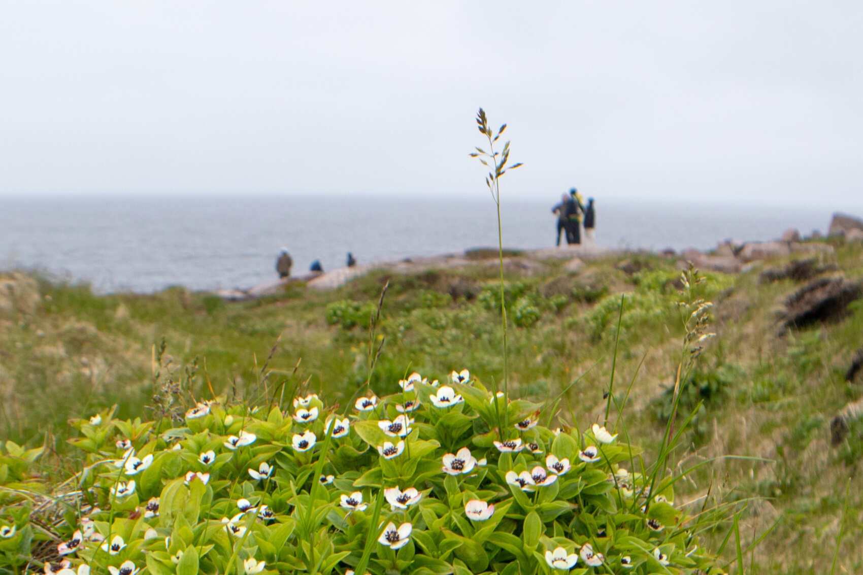 Премиум-глемпинг и релакс, Териберка и Мурманск (8/43)