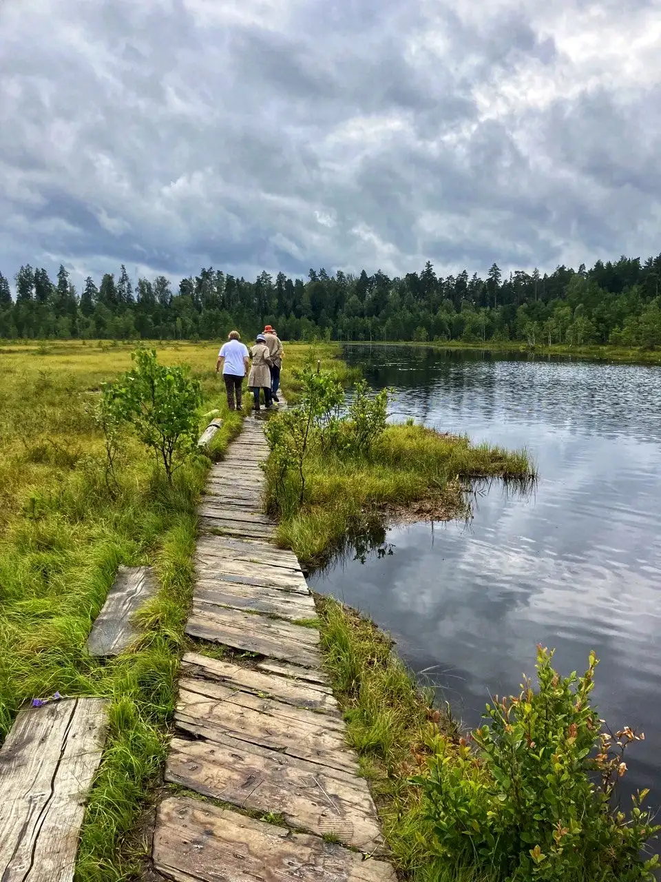 Звенигородский заказник и карьер Сима. Однодневный поход в Подмосковье