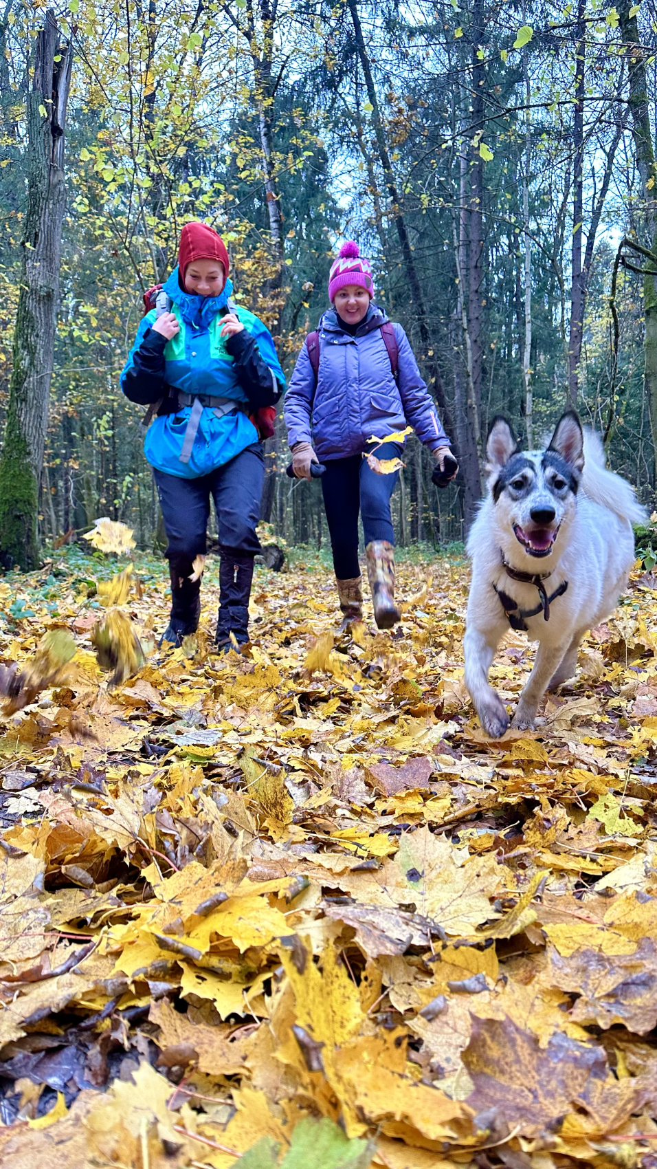Пеший поход Дорога в Лавру. Лесной скит (12/14)