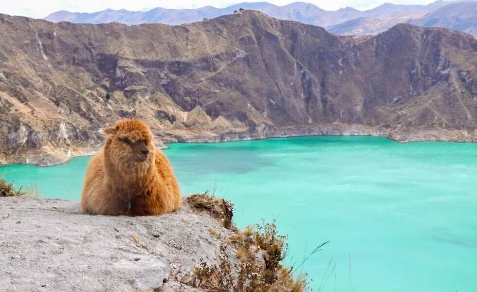 7 дней в долинах Анд (4/7)