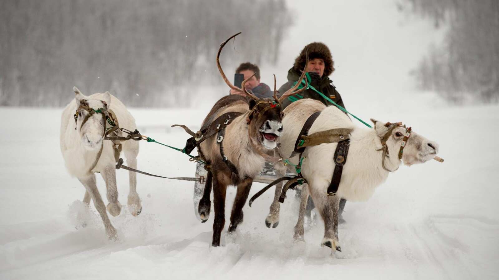 Охота за Северным сиянием из Мурманска (6/21)
