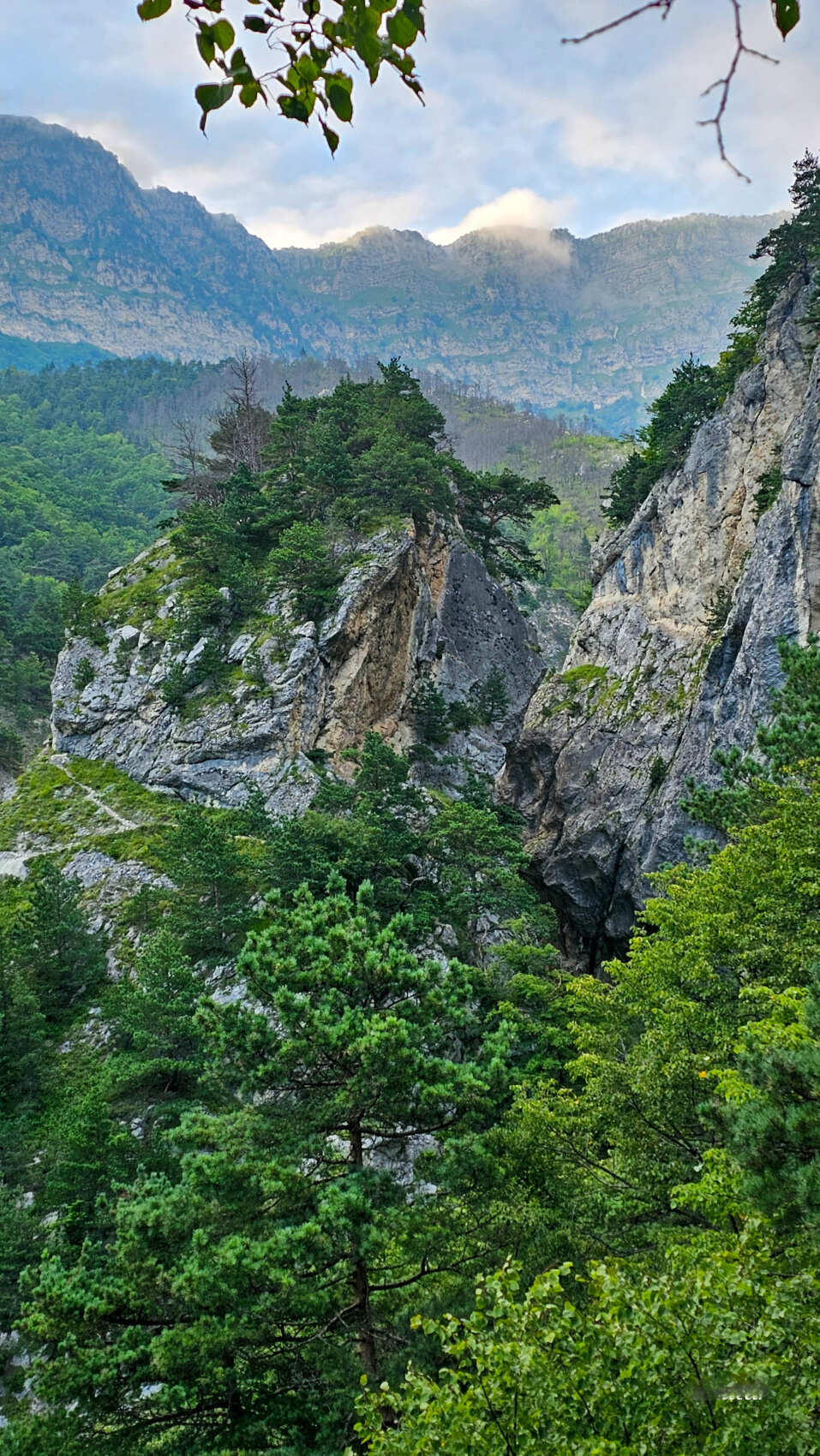 Северная Осетия. Горная любовь (из Минвод + Кисловодск) (14/121)