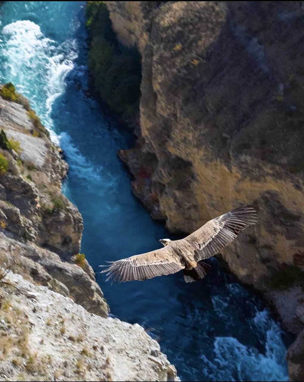 Дружеский тур к Сулакскому каньону (2/10)
