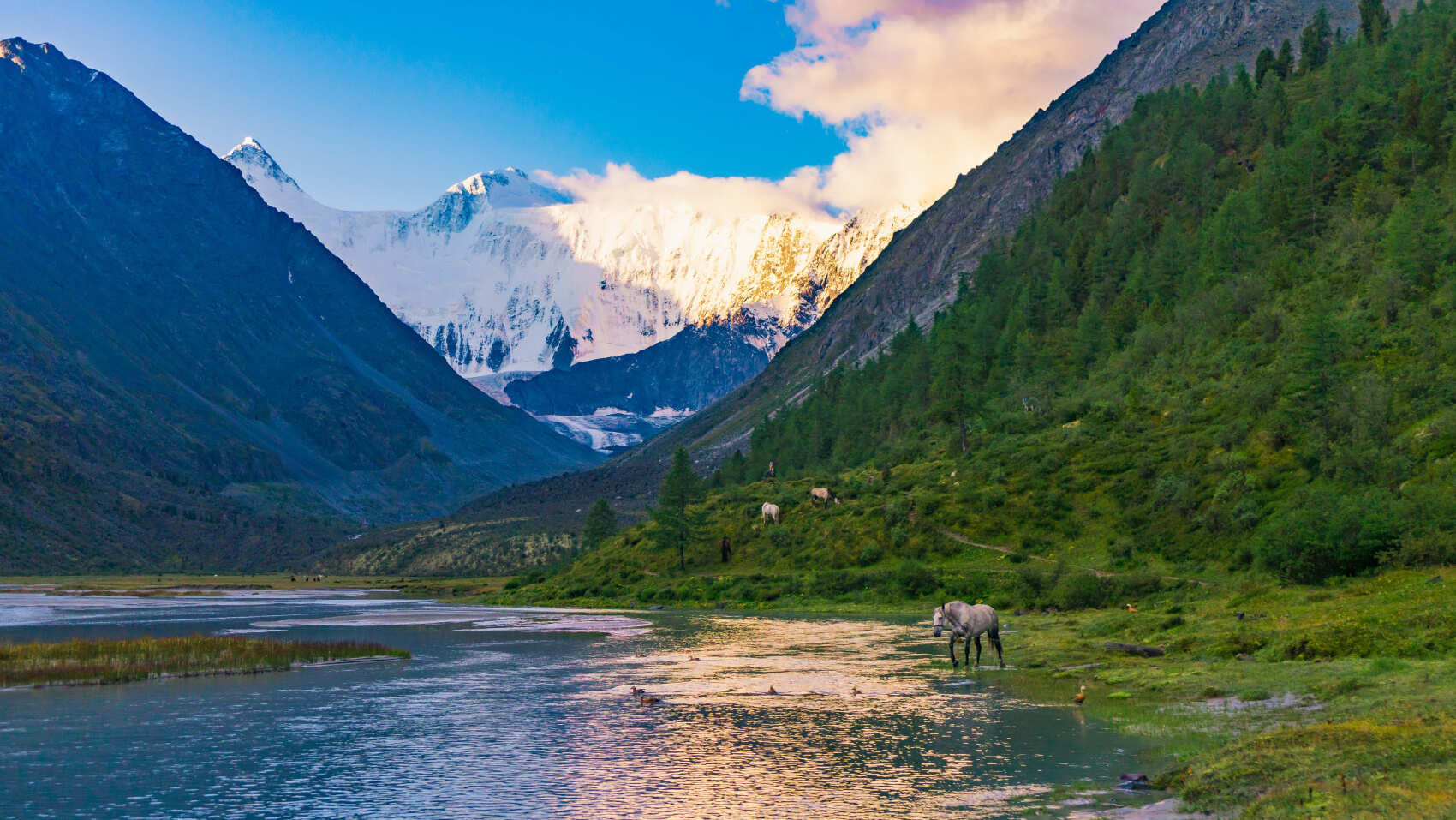 Треккинг к базовому лагерю Белухи (45/78)