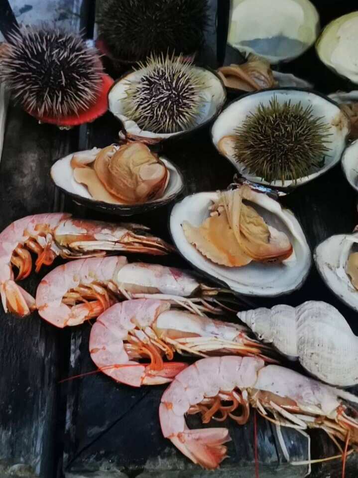 Рыбачий-Премиум 2.0: киты + джипинг + безлимит морепродуктов (по запросу, для готовых групп) (14/31)