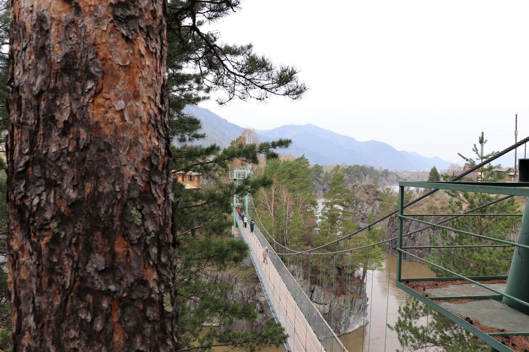  Майские-2026: Чемал, Телецкое, Чуйский тракт и Кату-Ярык (группа до 6 чел.) (10/46)