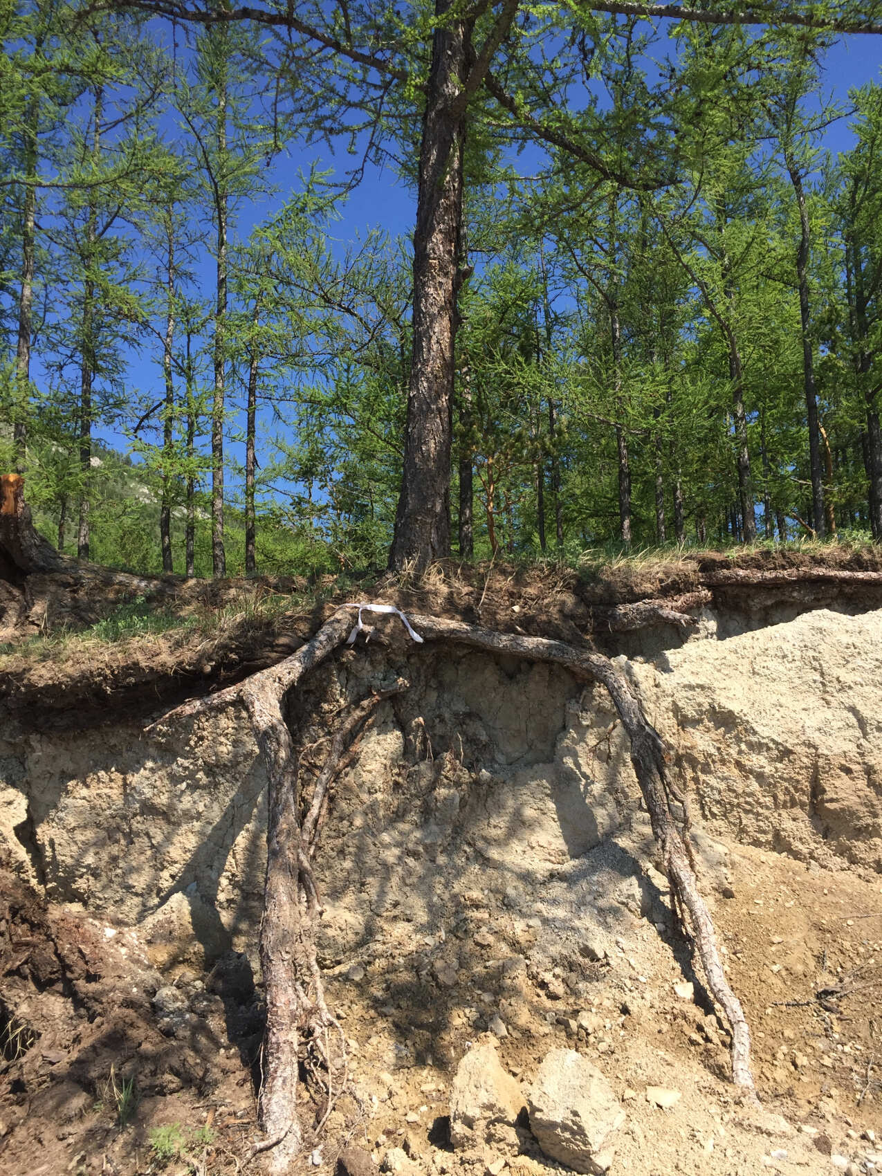 Большое Голоустное и величие Байкала (15/46)