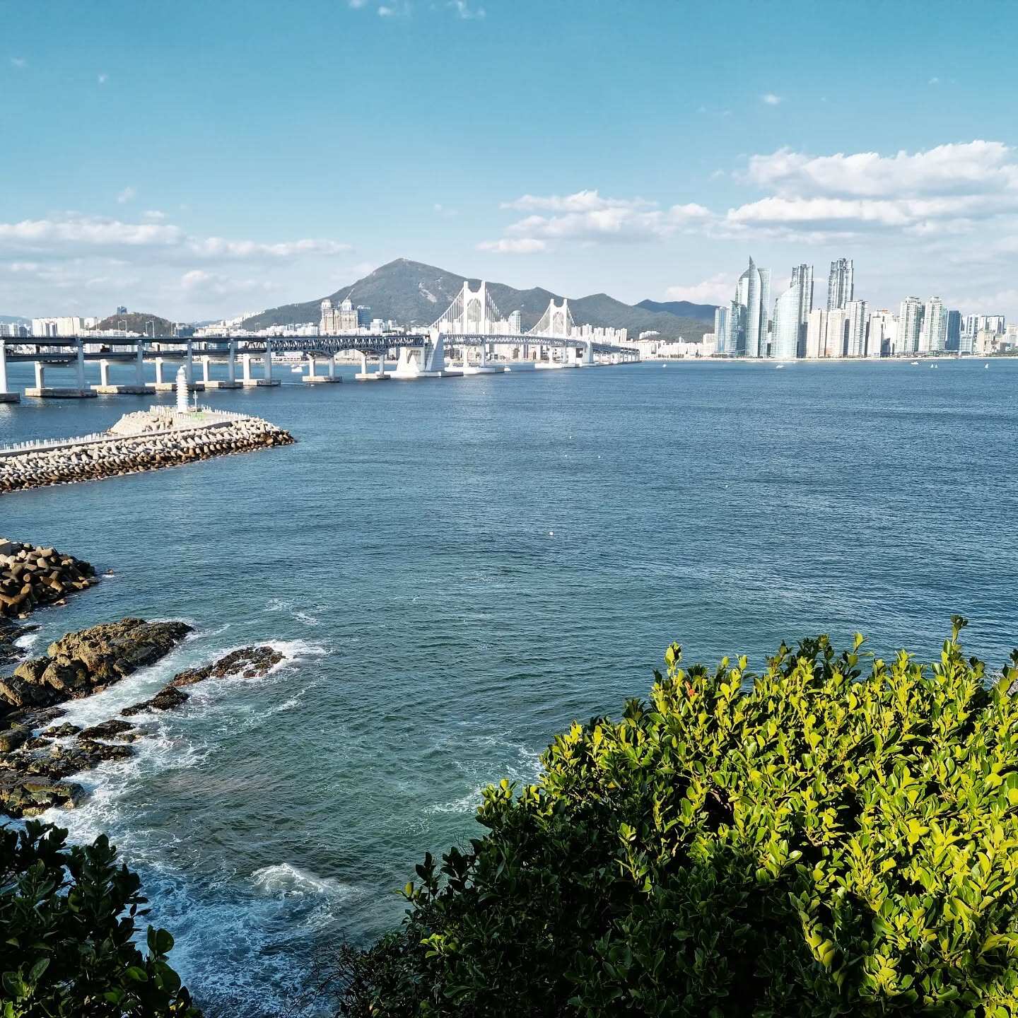 Южная Корея и остров Чеджу. (62/101)