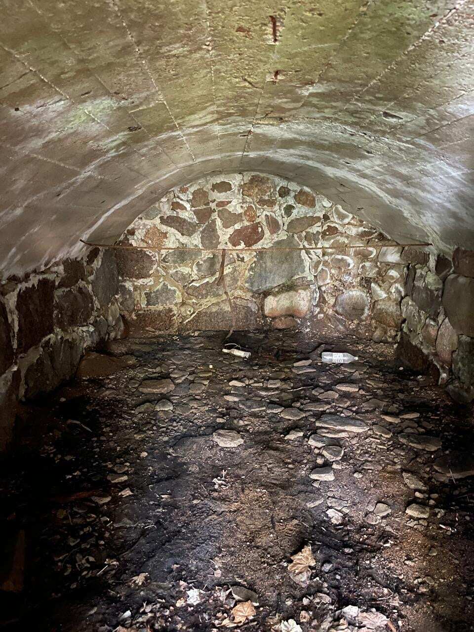 Острова и шхеры Выборгского залива. Тур на катере с гидом. (12/17)