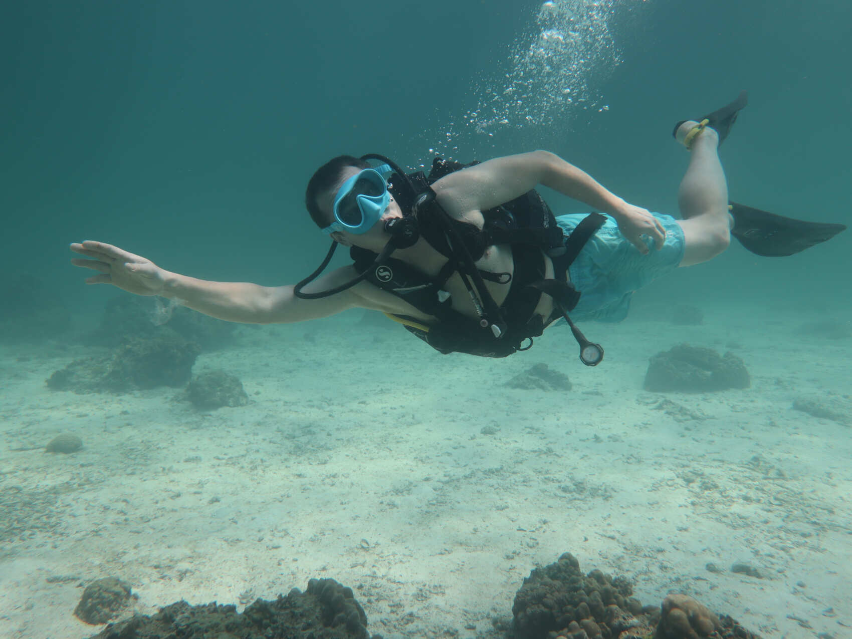 Дайвинг с индивидуальным инструктором. Для Новичков и профессионалов (43/50)