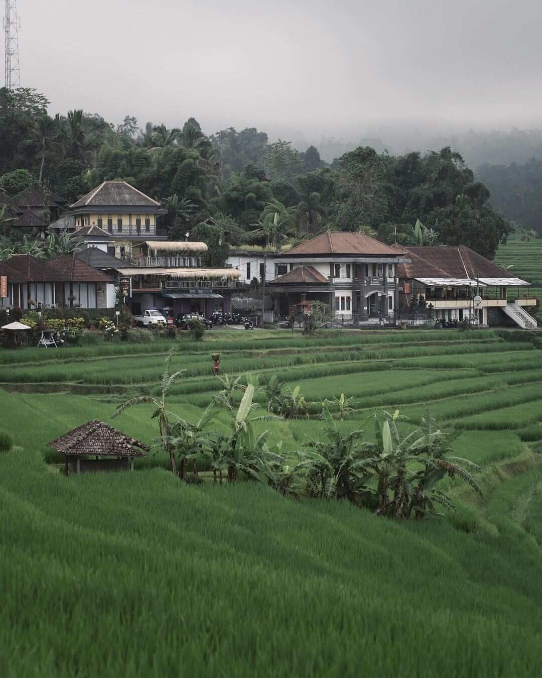 5 островов Индонезии (Бали, Нуса Пенида, Ява, Флорес, Комодо) 13 дней (9/122)