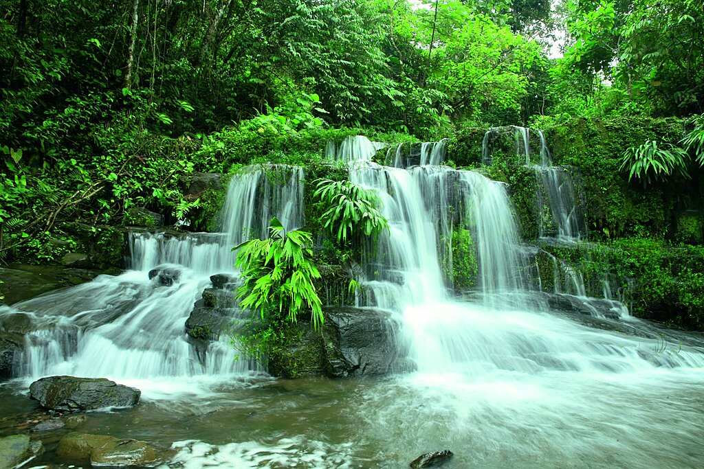 4-дневный опыт работы в Amazon Safari