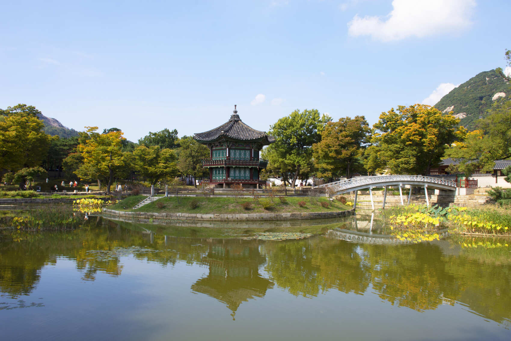 Южная Корея. Сакура в утренней свежести (5/34)