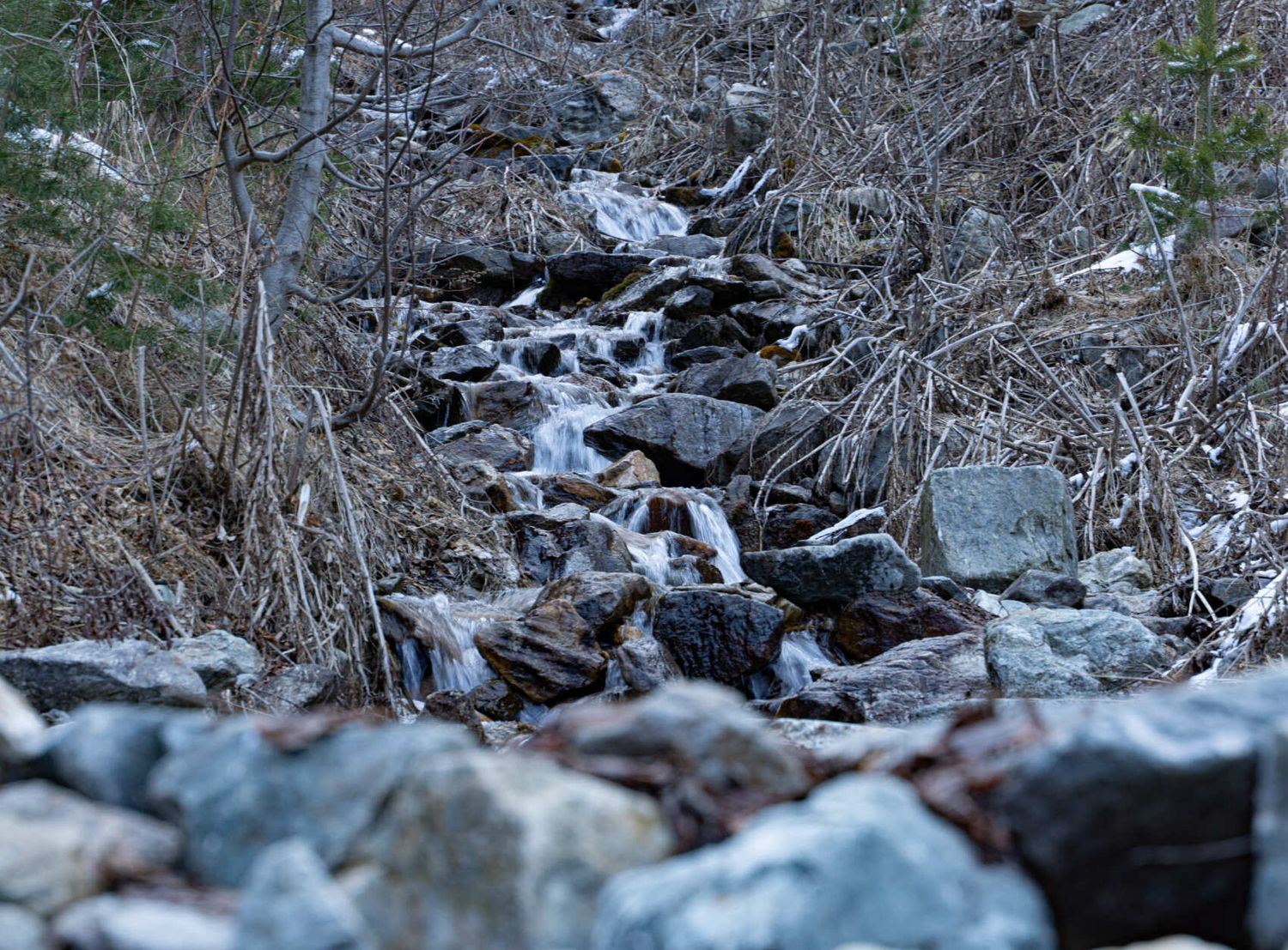 Северная Осетия и Кабардино-Балкария (63/91)