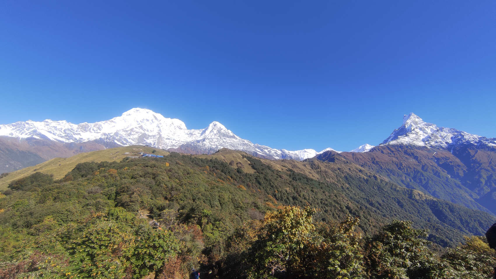 Поход в базовый лагерь Марди Химал (3/8)