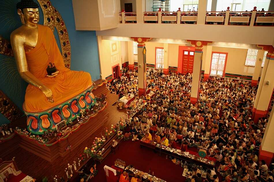 Калмыкия, тюльпанные поля, озеро Баскунчак и Золотая Элиста (5дн./5 ноч.) (12/51)