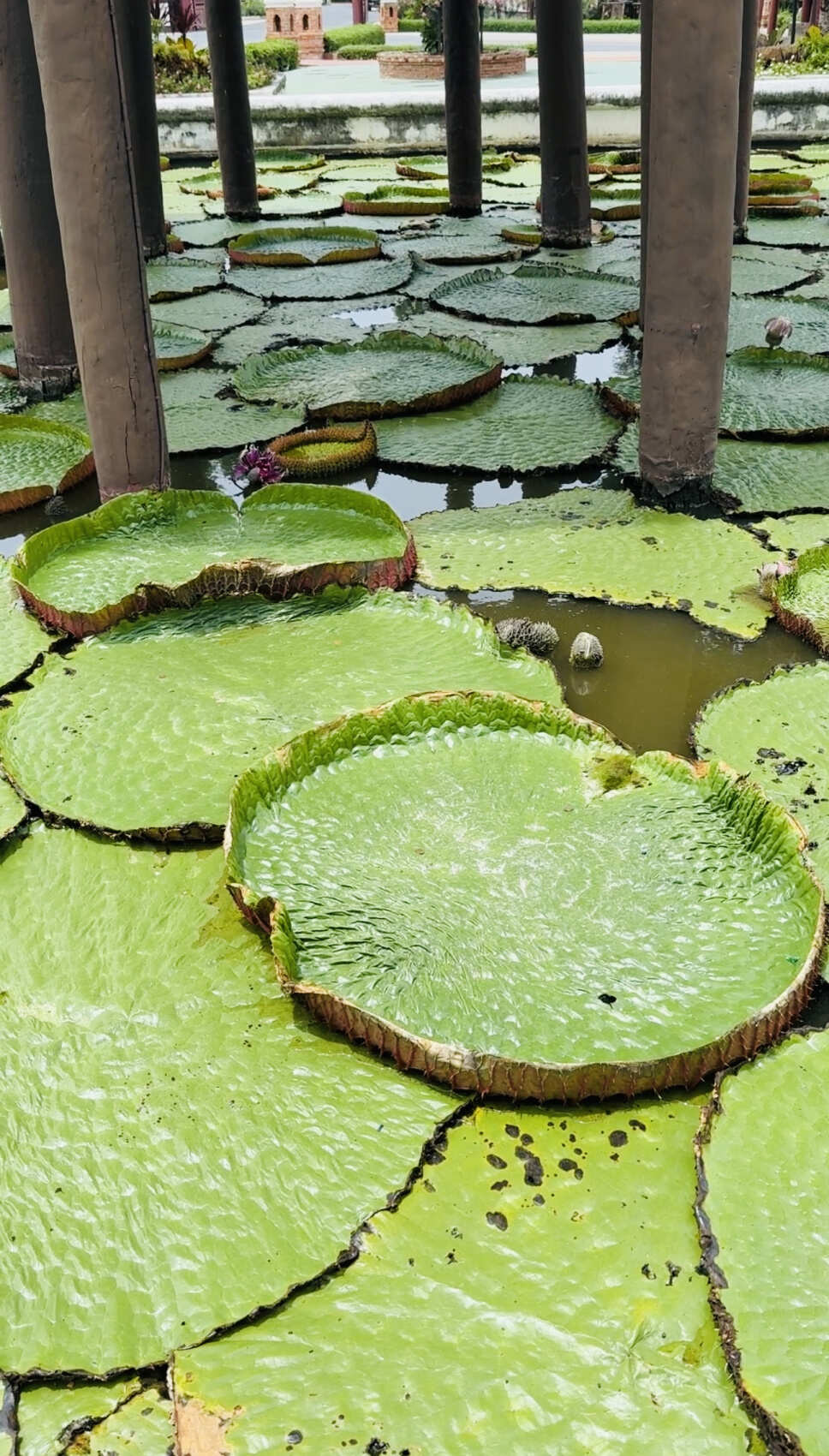 Таиланд за восемь экспедиций. Семь провинций Королевства Таиланд (44/113)