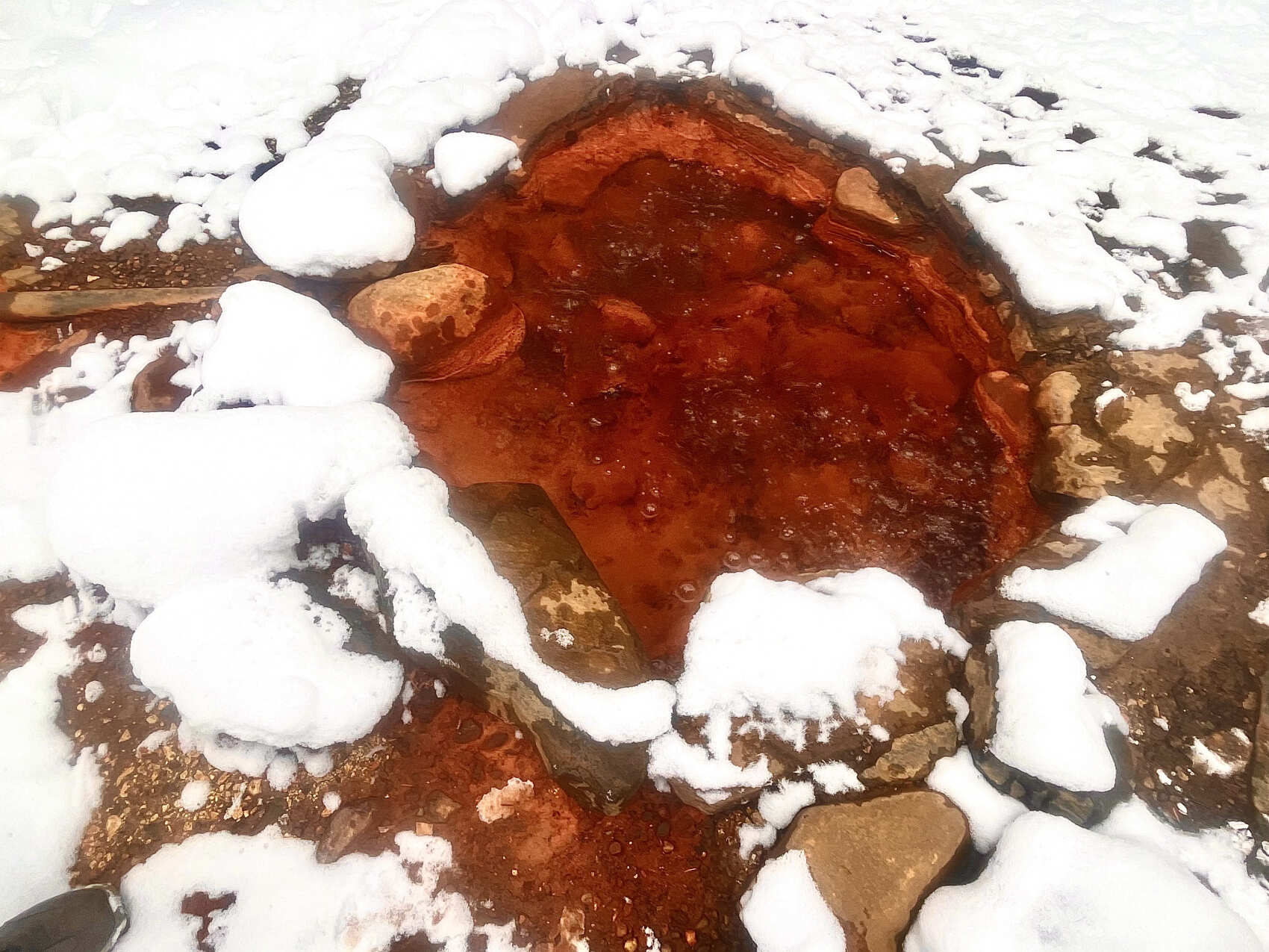 Индивидуальный джип тур Долина Нарзанов  + Ферма Альпак  (3/9)