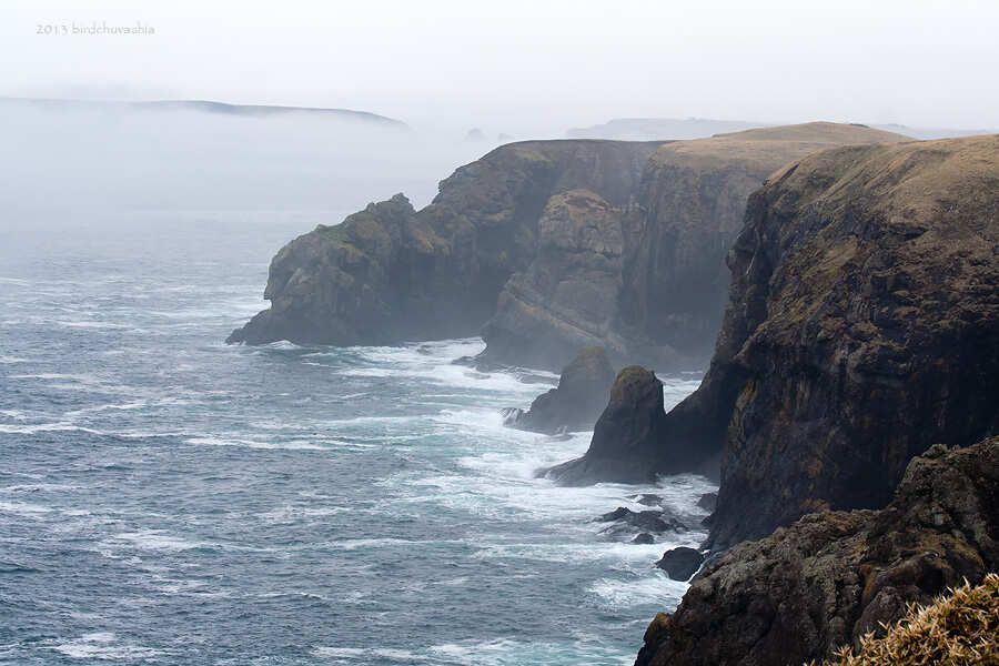 Тур на Курилы ( о.Шикотан ) (5/20)