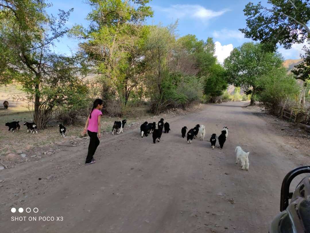 Озеро Ак-Кёль и его ущелья! Экспедиция за 3 дня! (5/20)