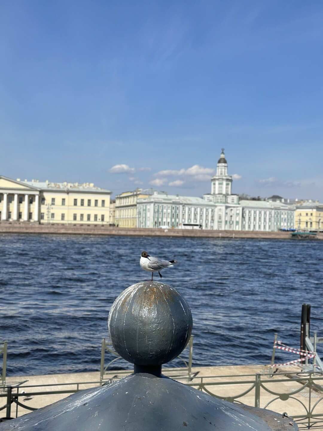 Питерский микс: фото-прогулка, квест игра и тайны города