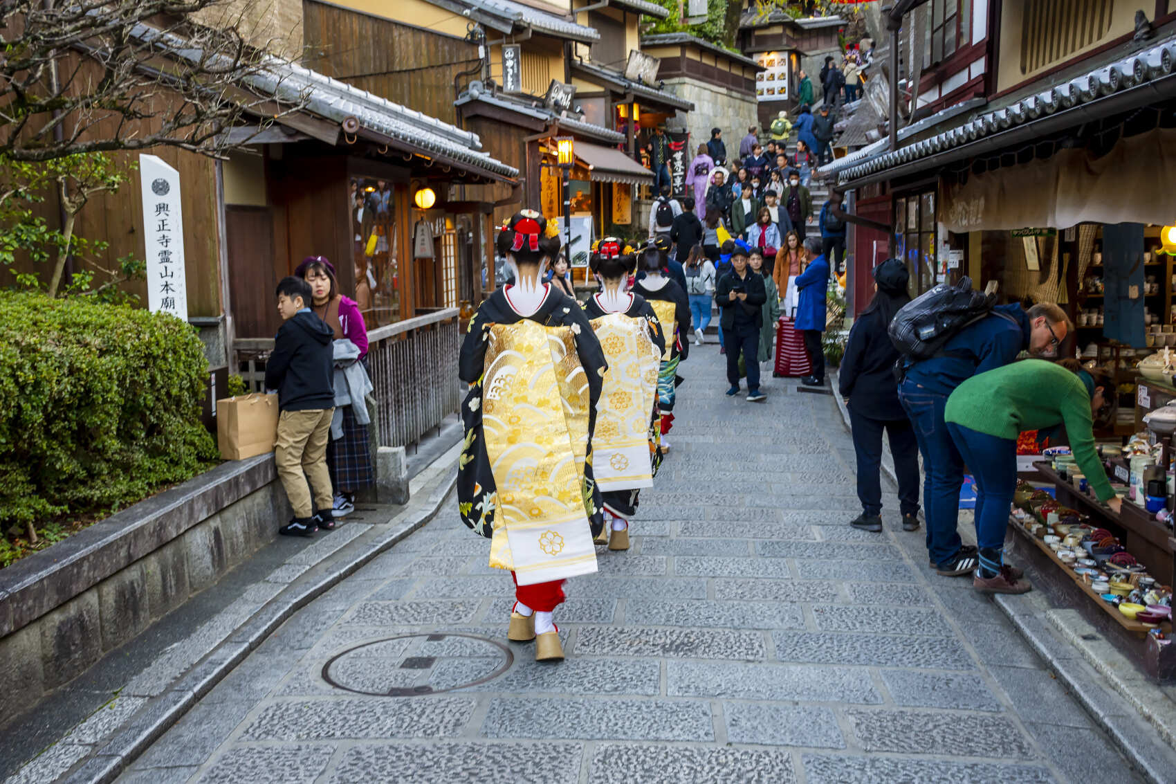 Сакура в Японских Альпах (4/48)