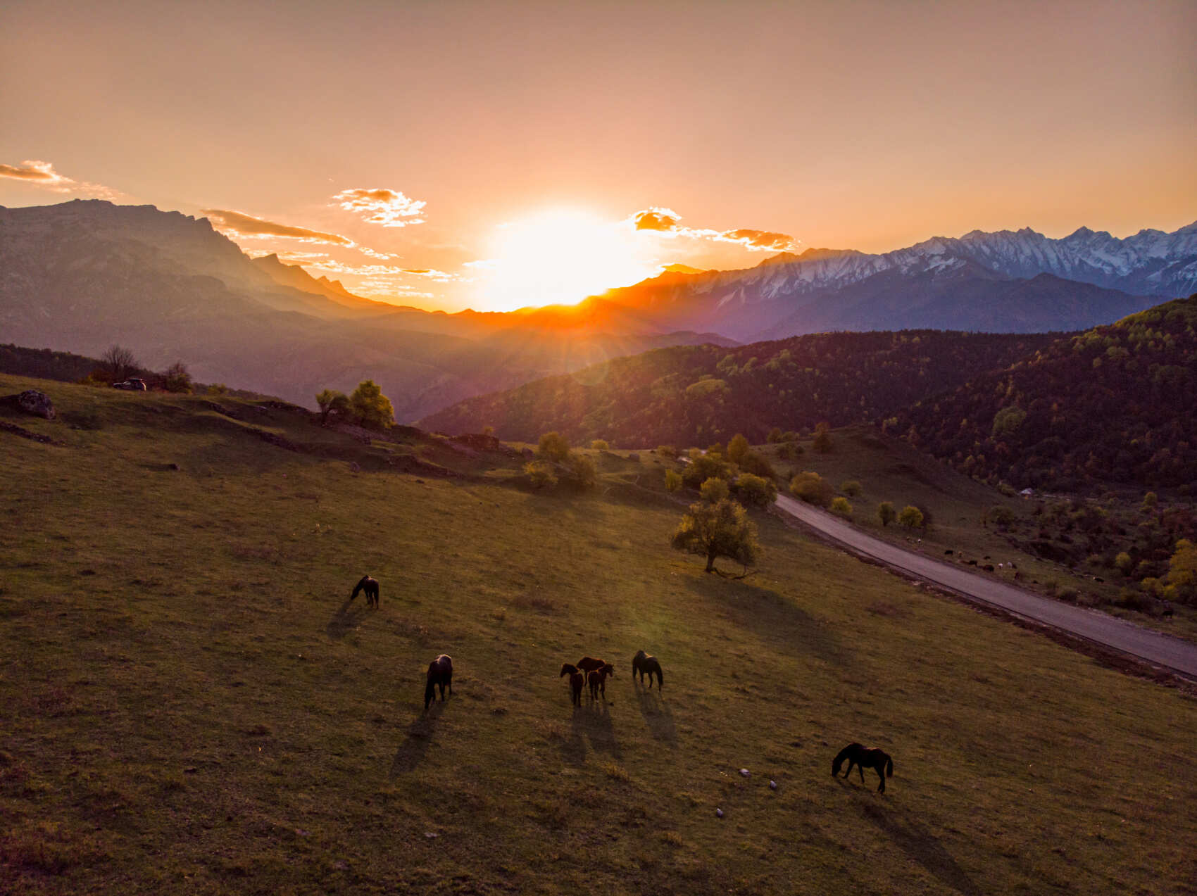 Осетия + Ингушетия с фотографом / Всё включено (48/83)