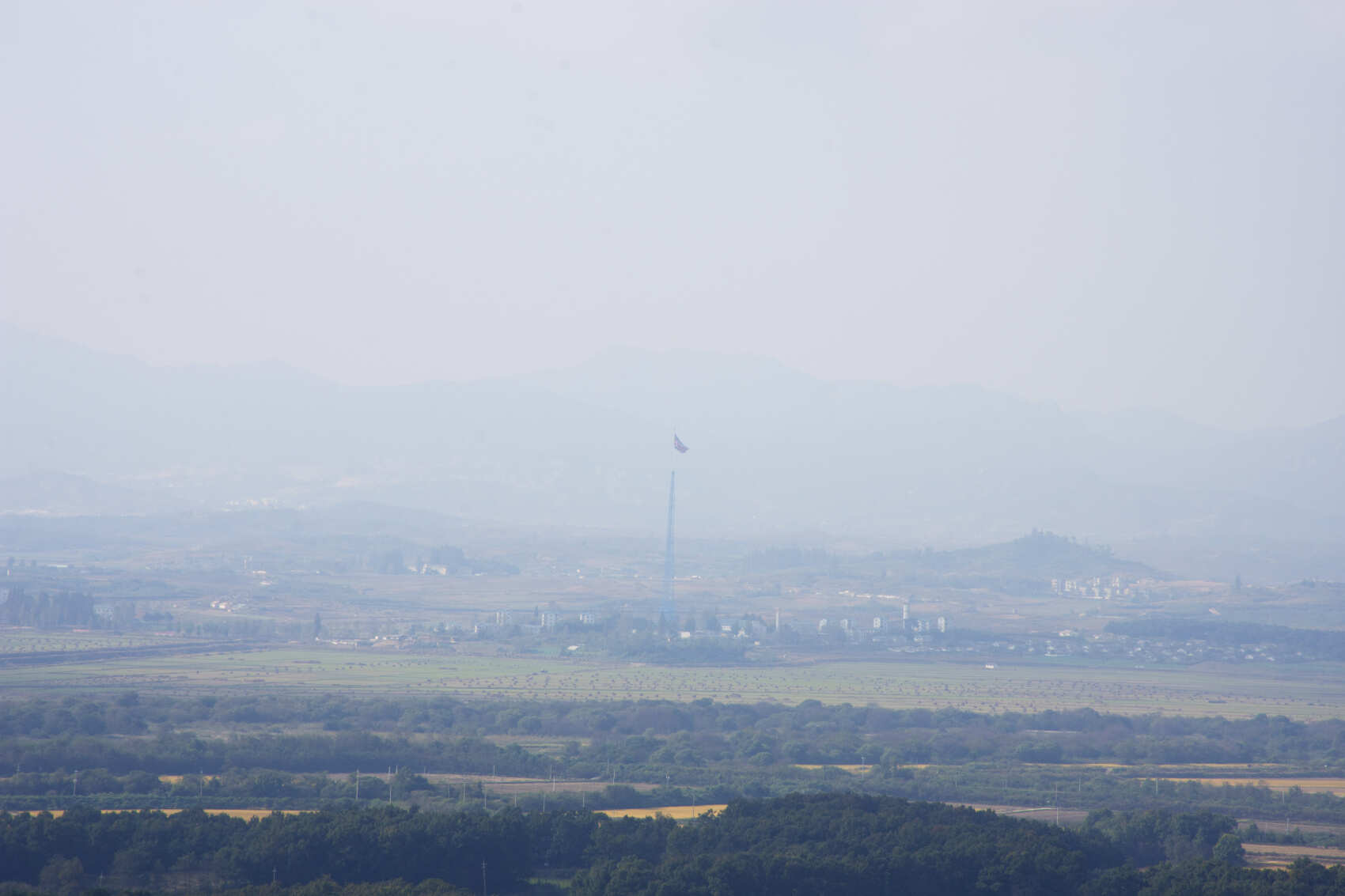 Южная Корея. Сакура в утренней свежести (12/34)