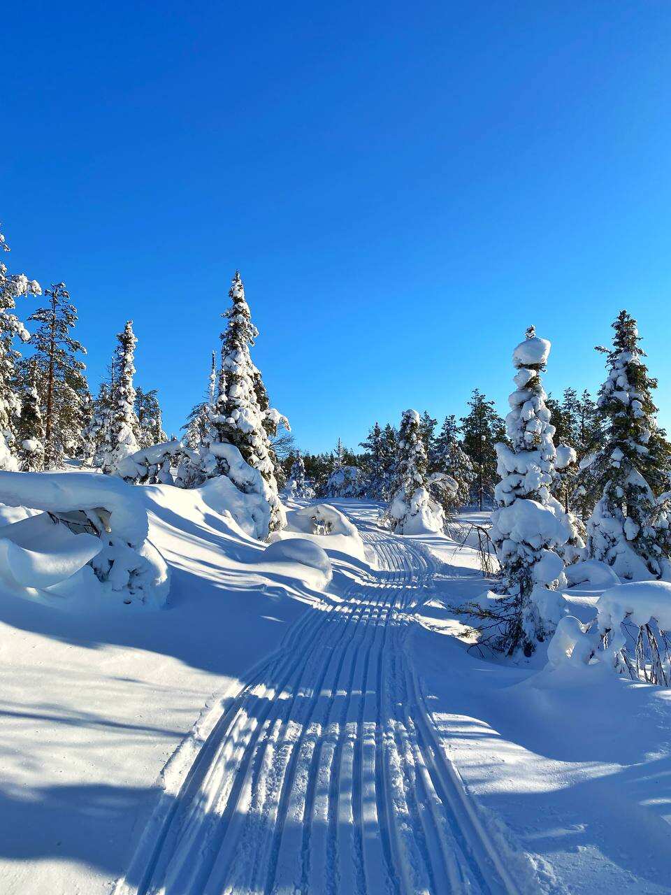Поход в горы Хибины на снегоступах (8/16)